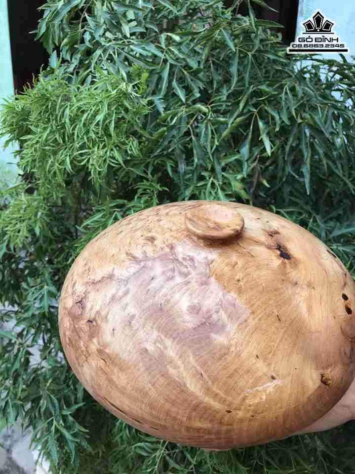 Chum-Phu-Quy-Go-Nu-Po-Mu