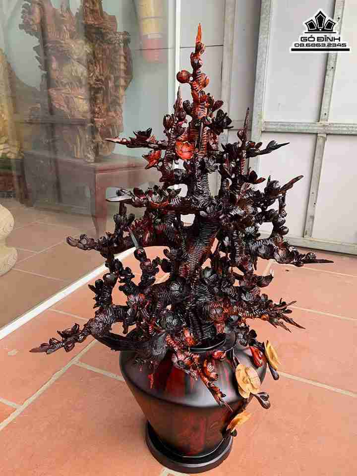 Binh-Mai-Dieu-Go-Trac-Do-Den