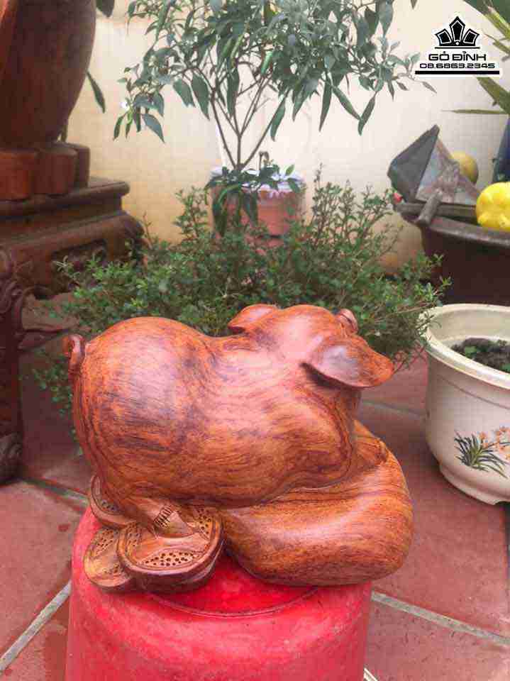 Tuong-Heo-Phu-Quy-Go-Cam-2