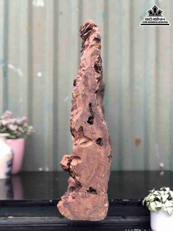 Tuong-Dien-Phat-Go-bach-Xanh-3