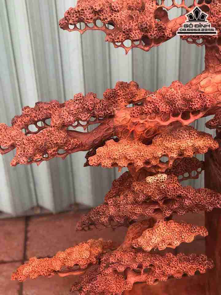 Tuong-Binh-Tung-Bon-Sai-Go-My-Nghe