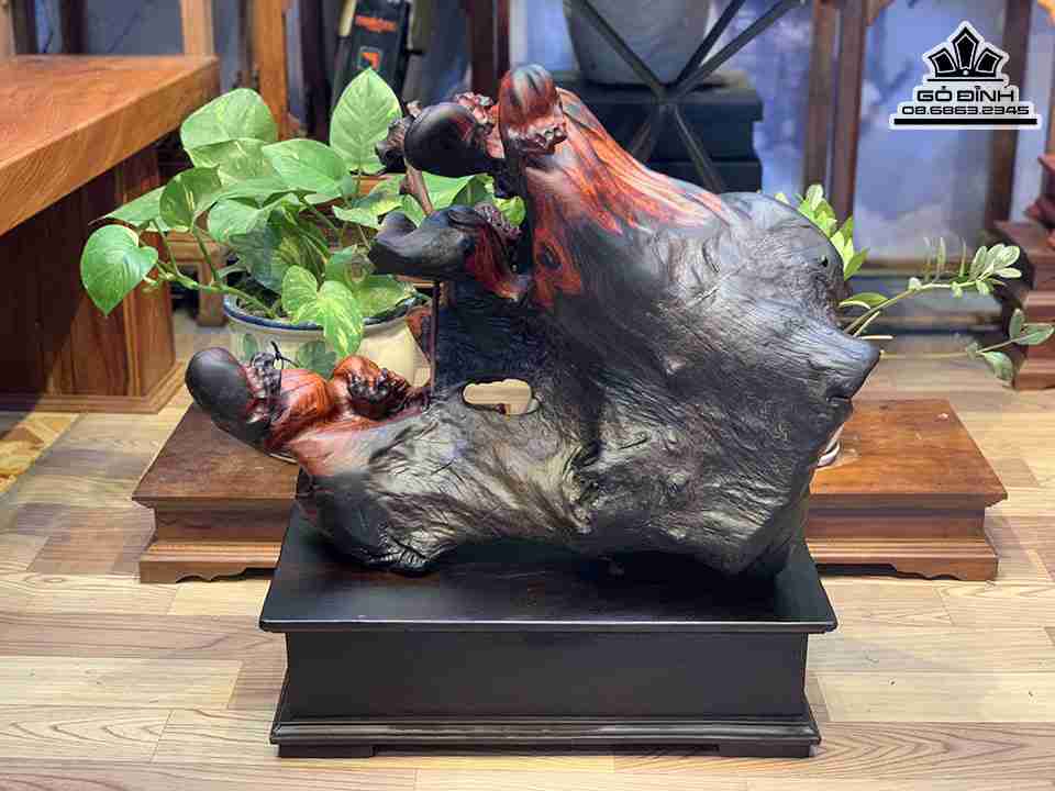 Tuong-Dat-Ma-Su-To-Mua-Vo-Go-Trac-1