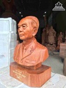 Tuong-Dai-Tuong-Vo-Nguyen-Giap