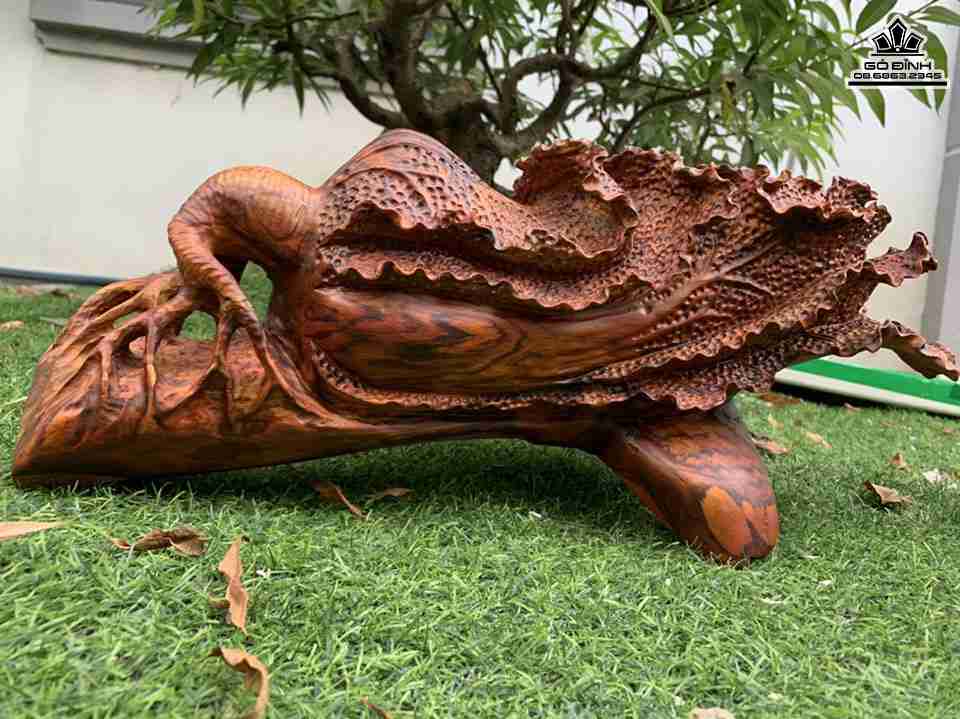 Tuong-Bap-Cai-Go-Sua