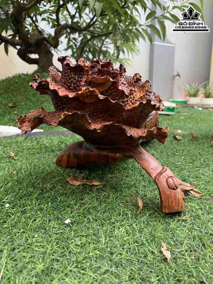 Tuong-Bap-Cai-Go-Sua