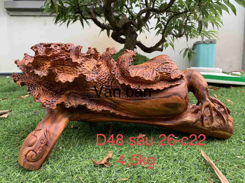 Tuong-Bap-Cai-Go-Sua