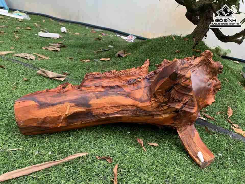 Tuong-Bap-Cai-Go-Sua