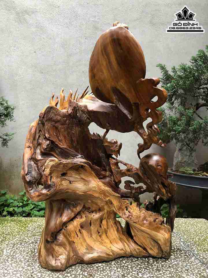 Tuong-Rong-Cuon-Thuy-Go