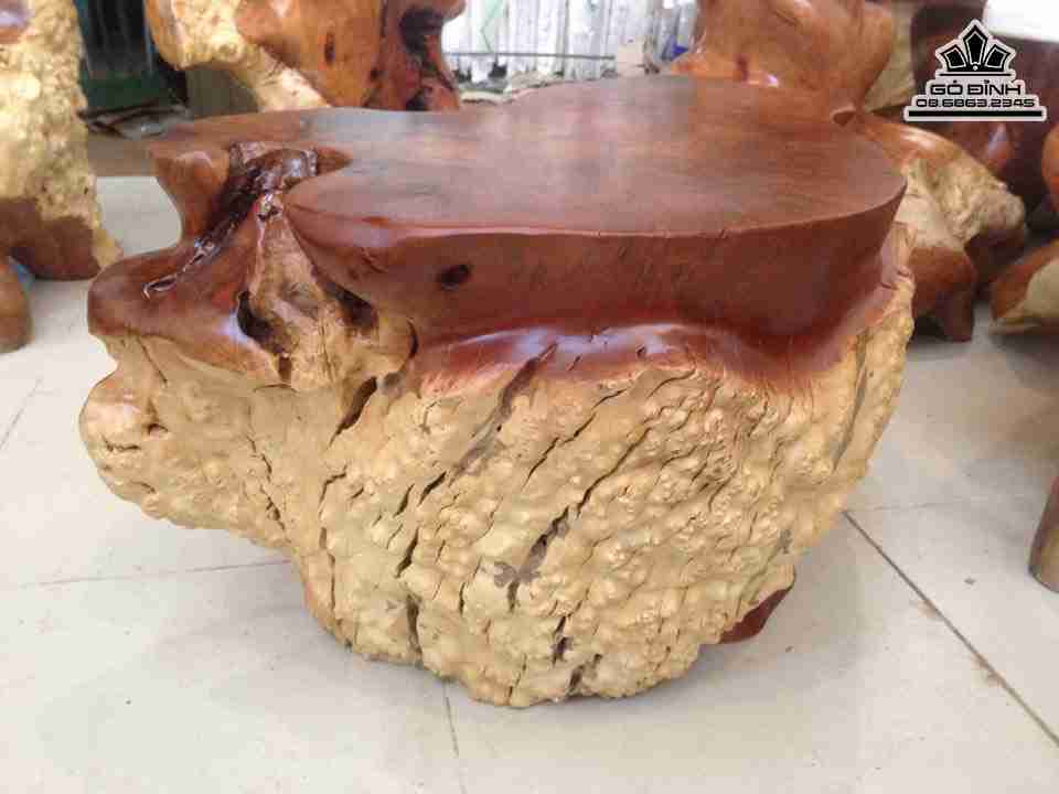 Don-Go-Goc-Cay-Go-Nu-Xa-Xi