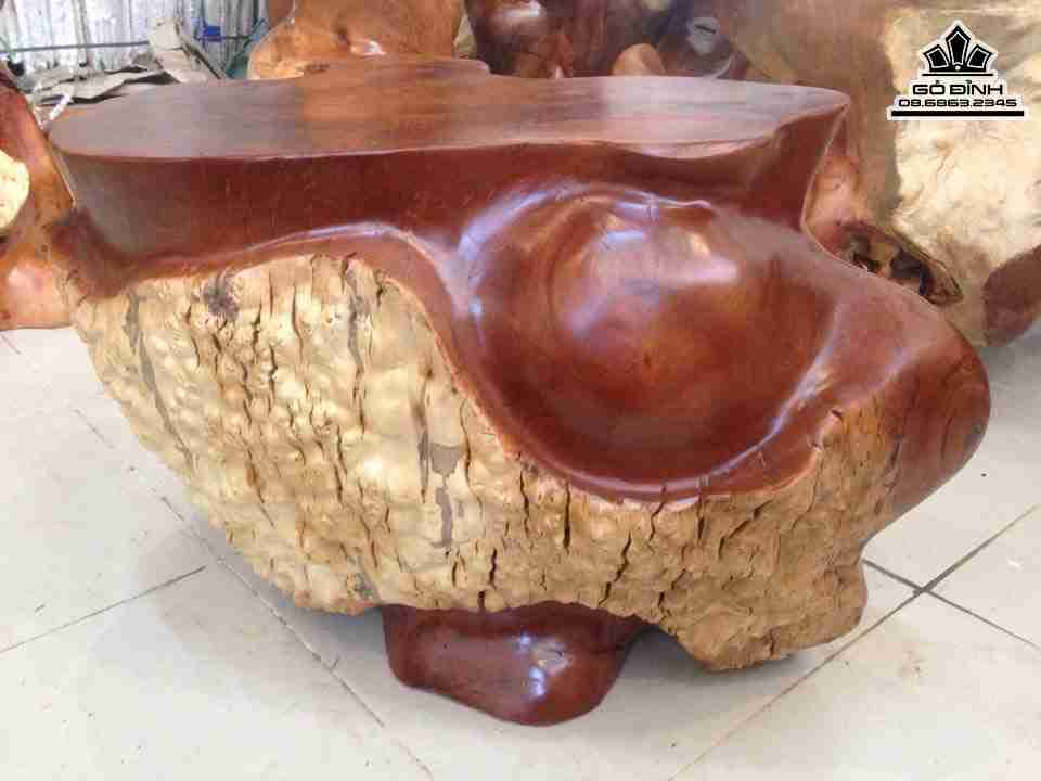 Don-Goc-Cay-Go-Nu-Gu-Huong