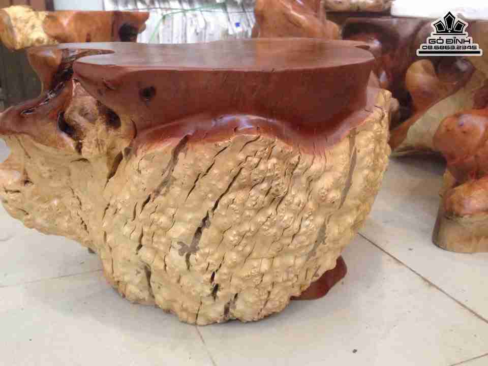 Don-Go-Goc-Cay-Go-Nu-Xa-Xi-Gu-Huong