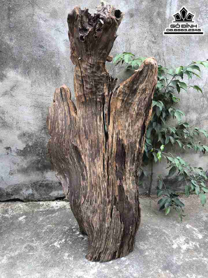 Tuong-Go-Tam-Da-Phuc-Loc-Tho