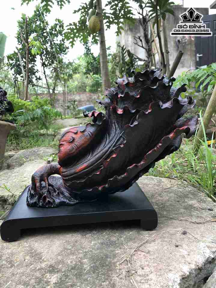 Tuong-Bap-Cai-Go-Trac