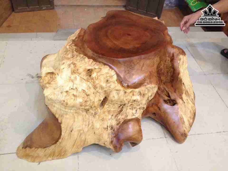 Don-Nguyen-Khoi-Go-Nu-Xa-Xi