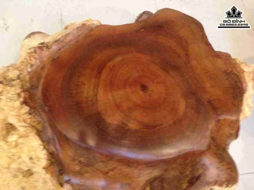 Don-Nguyen-Khoi-Go-Nu-Gu-Huong