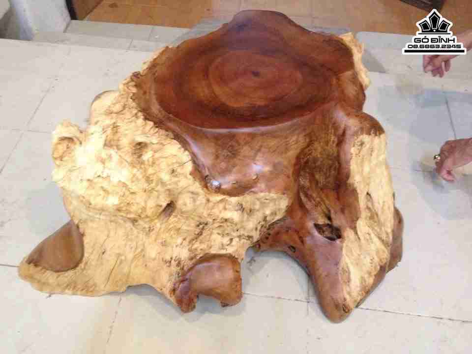 Don-Nguyen-Khoi-Go-Nu-Xa-Xi