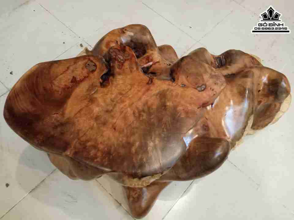 Don-Nguyen-Khoi-Go-Nu-Gu-Huong