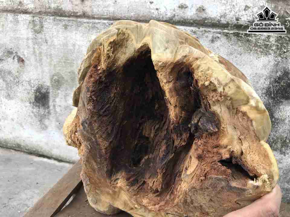 Tuong-Coc-Tai-Loc-Go-Nu-Nghien