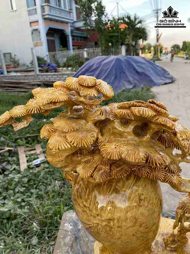 Binh-Tung-Bon-Sai-Go-Nu-Khao-3