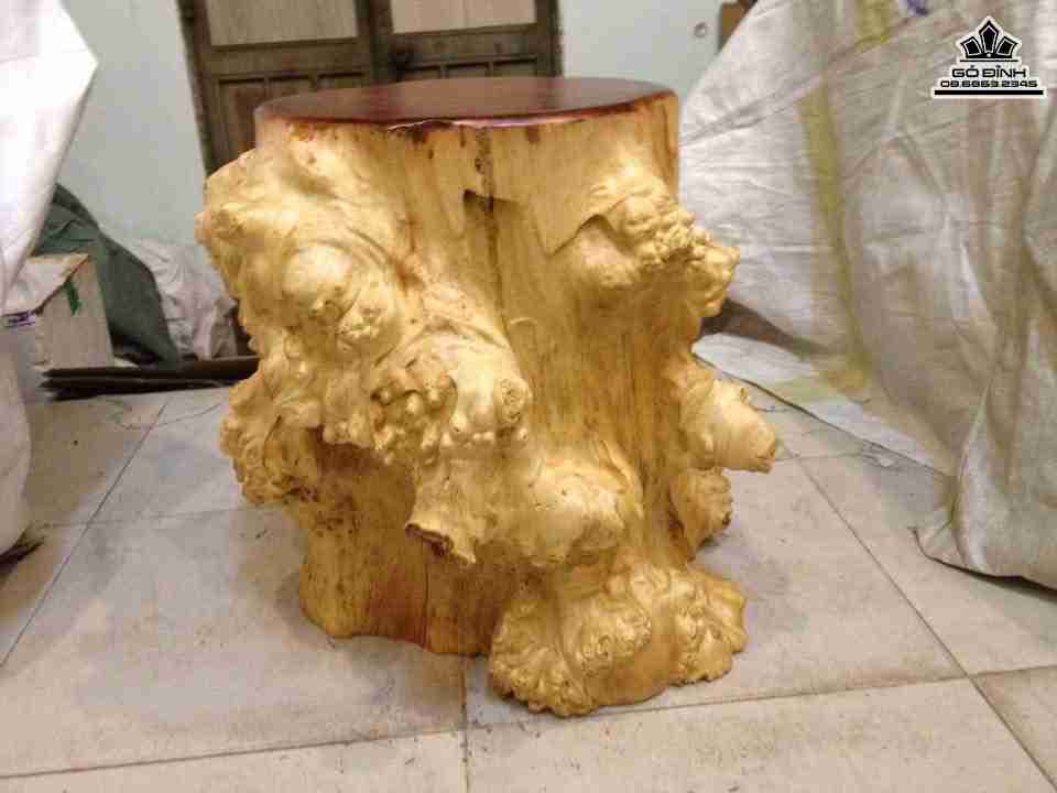 Don-Goc-Cay-Go-Nu-Go-Do-Ca-Te5