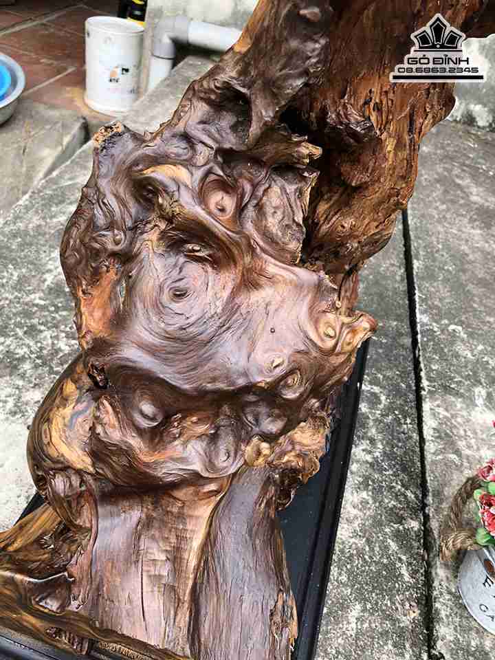 Phat-Di-Lac-Ngoi-Goc-Tung-Go