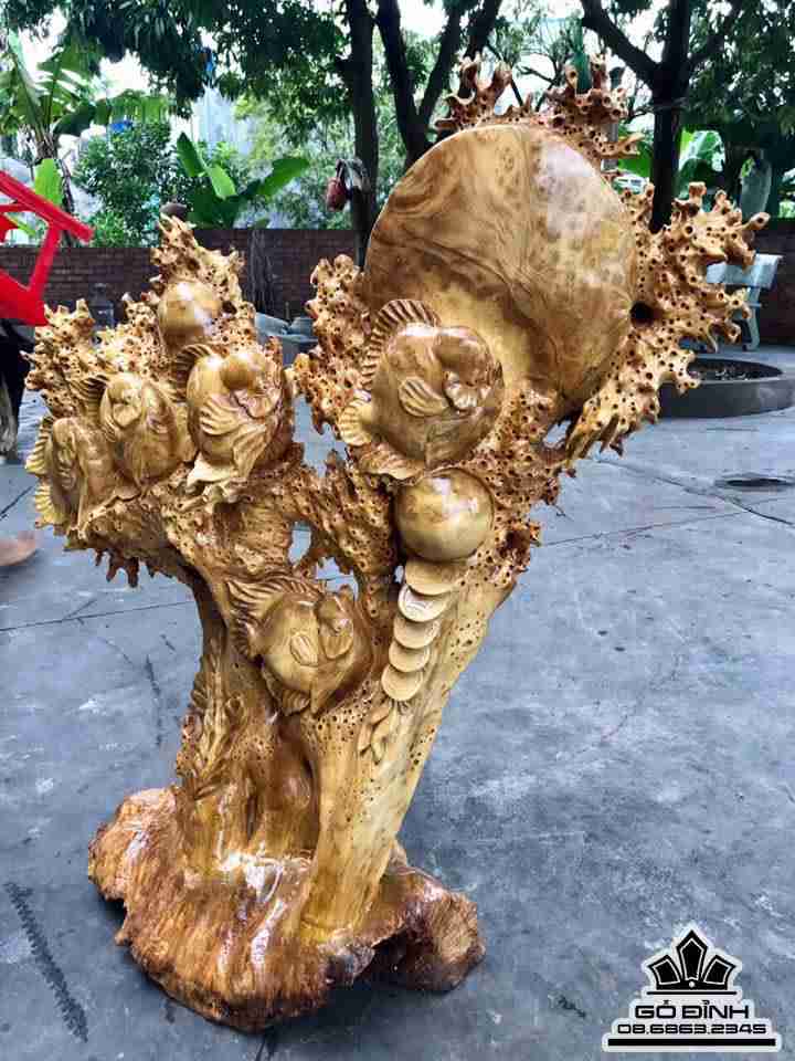 Đàn cá la hán phú quý gỗ nu kháo  1