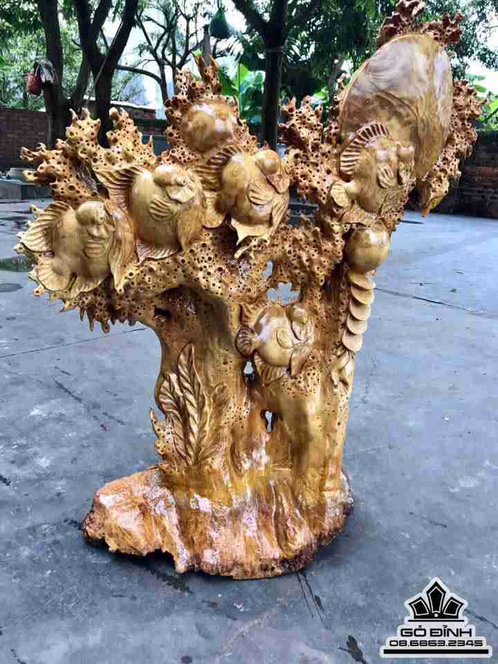 Đàn cá la hán phú quý gỗ nu kháo  2