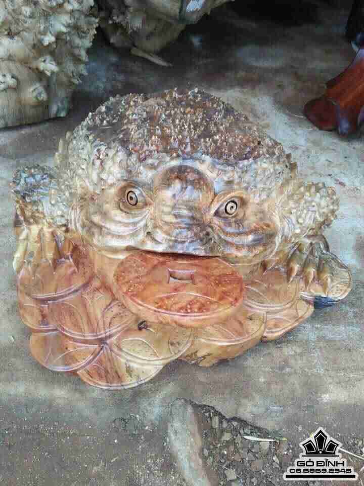 Cóc ngậm tiền gỗ nu xá xị  1