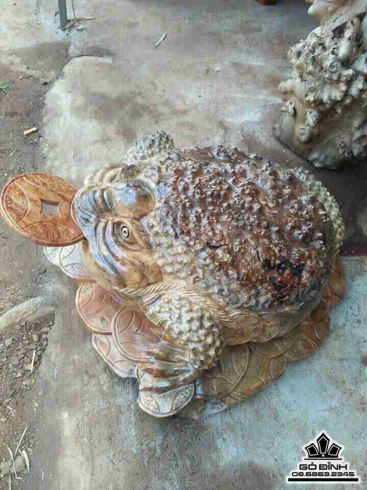 Cóc ngậm tiền gỗ nu xá xị  4