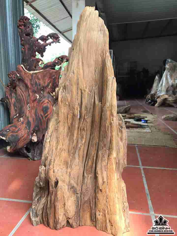 Phật bà ngồi tùng gỗ bách xanh 2