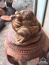 Cóc phú quý gỗ hương 2