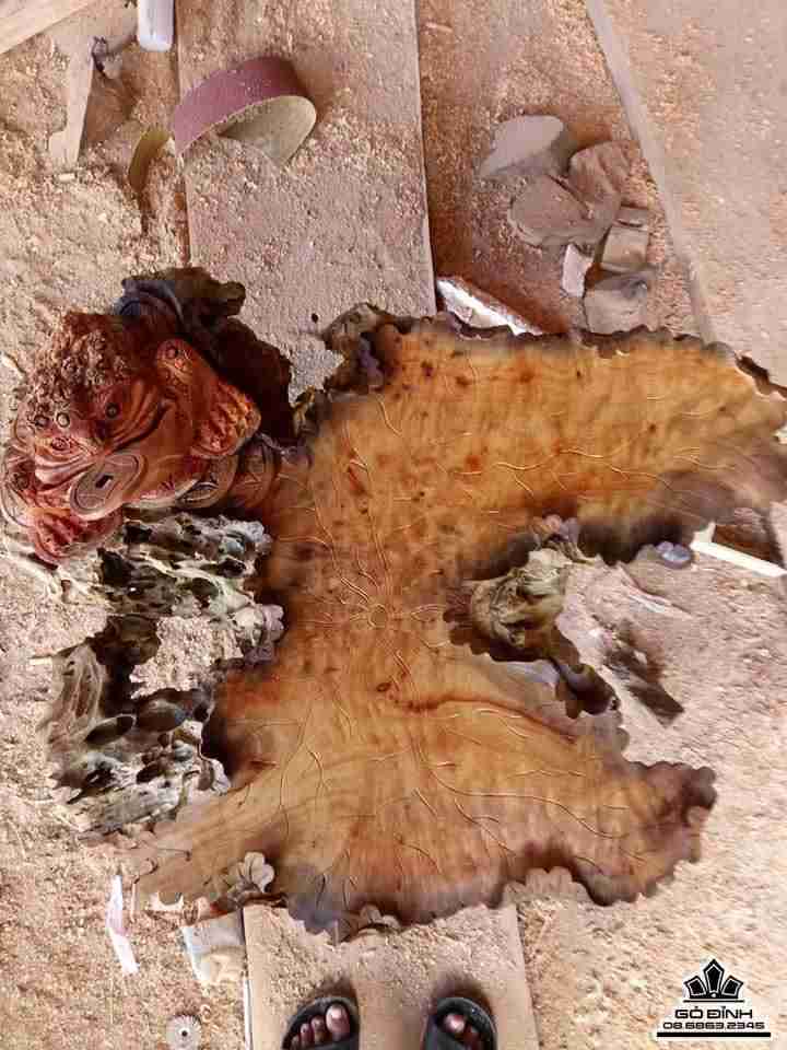 hay trà lá sen gỗ xá xị thơm  1