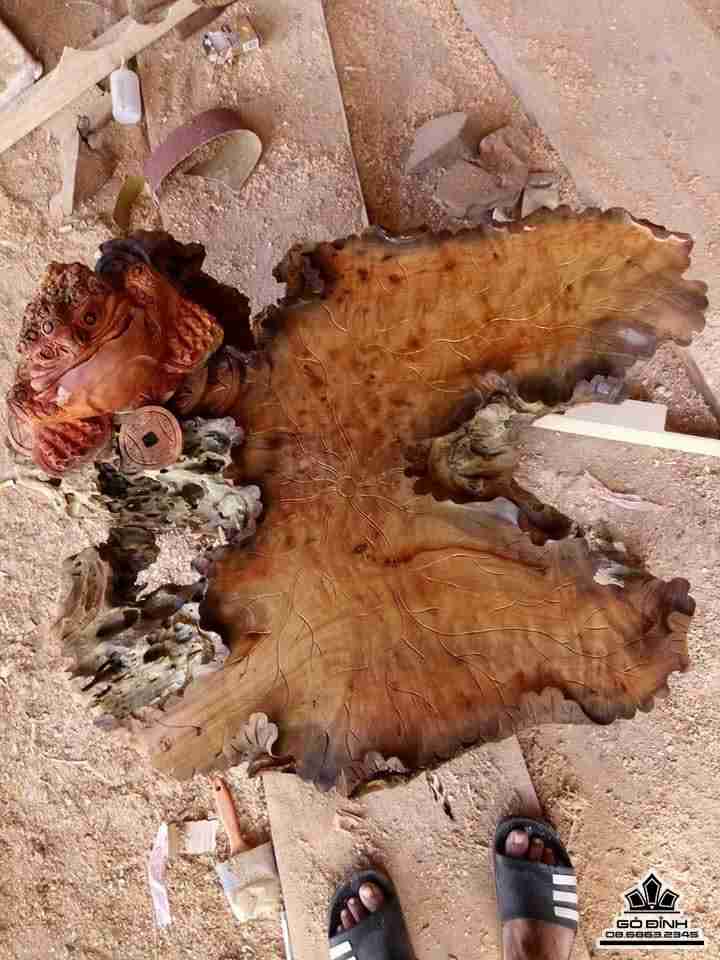 hay trà lá sen gỗ xá xị thơm  2