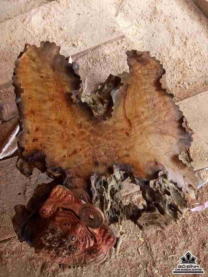 hay trà lá sen gỗ xá xị thơm  3