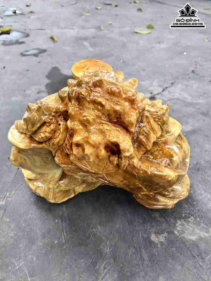 Cóc ngồi chum tiền gỗ nu nghiến  2