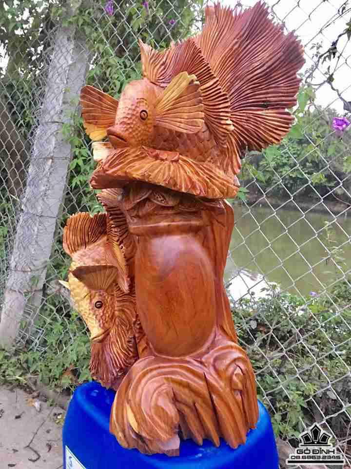 Cá phú quý gỗ hương 