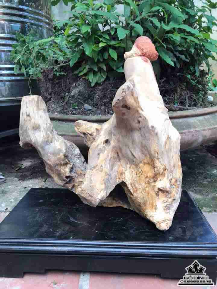 Đạt ma sư tổ gỗ hương ôm đá  4