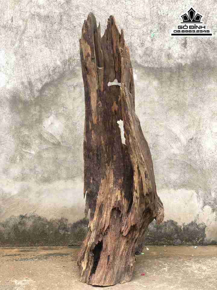 Tuong-Phat-Di-Lac-Dung-Go