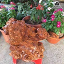 Tam-coc-chan-loc-go-huong-cao-15-rong-48-day-32-cm