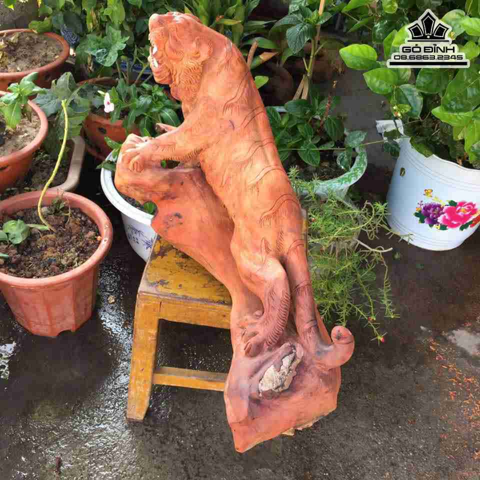 Tuong-Chua-te-son-lam-go-huong-cao-29-rong-50-day-24-cm