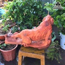 Chua-te-son-lam-go-huong-cao-29-rong-50-day-24-cm-