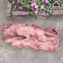 Tuong-Ho-San-Moi-Go-Cam