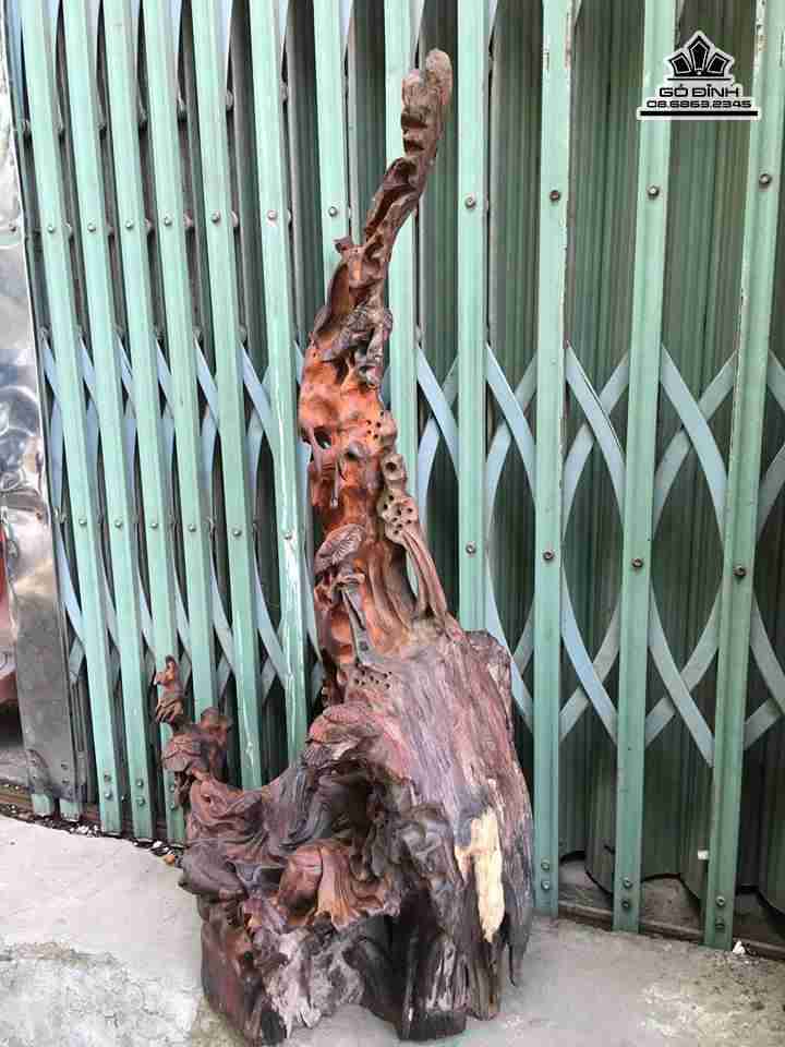 gia-La-vong-cau-ca-duoi-goc-goc-tung-go-trac-cao-75-rong-48-day-30