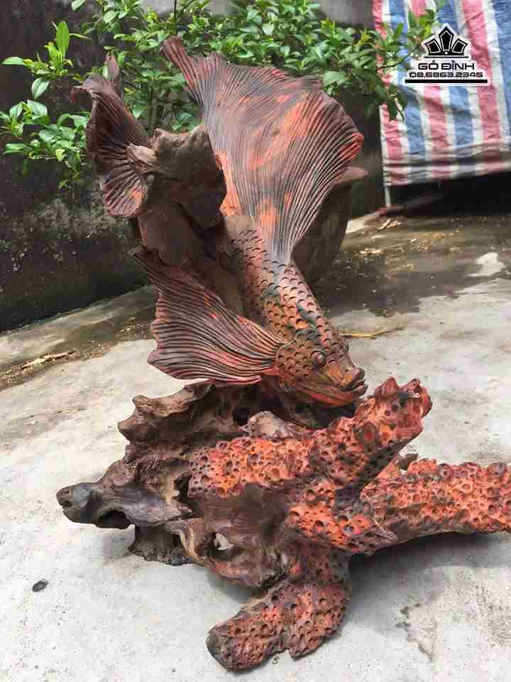 gia-Ca-xiem-phu-quy-go-trac-cao-48-rong-45-day-36-cm