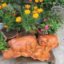 mua-Gia-dinh-nha-heo-go-huong-cao-26-rong-60-day-30-cm