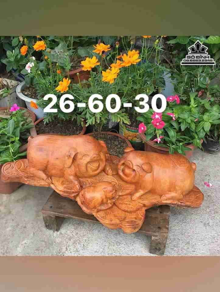 gia-Gia-dinh-nha-heo-go-huong-cao-26-rong-60-day-30-cm