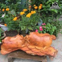 Gia-dinh-nha-heo-go-huong-cao-26-rong-60-day-30-cm