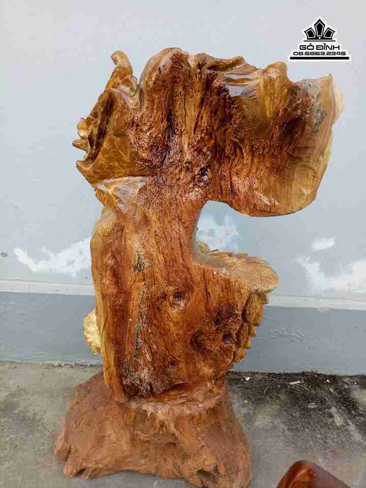 Phat-di-lac-dung-bao-tien-go-nu-nghien-cao-67-rong-38-day-30-cm