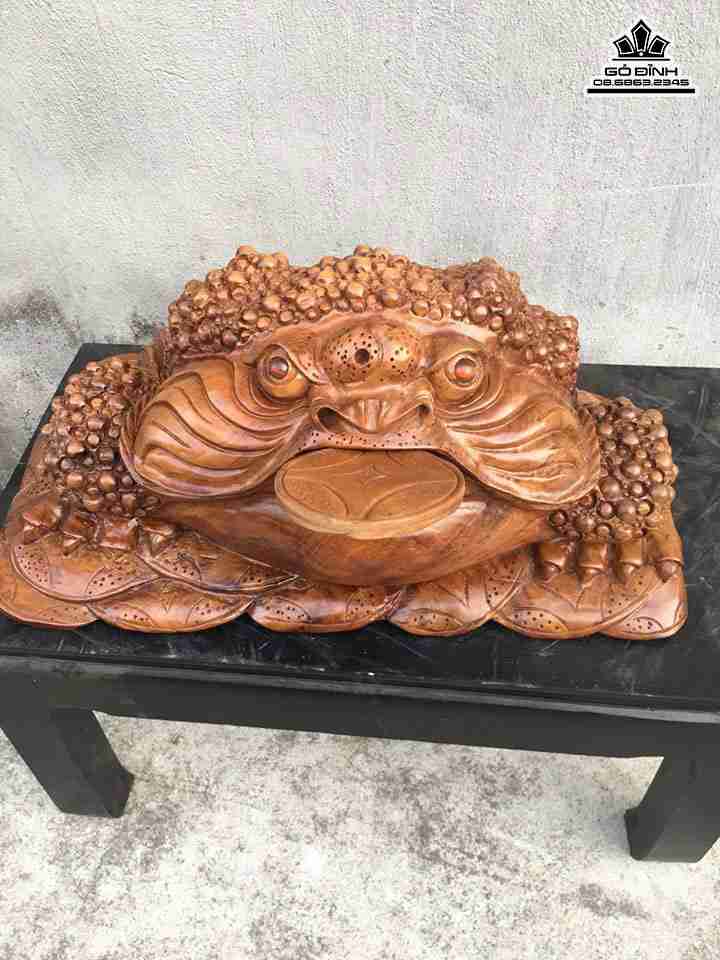 gia-Coc-ngam-tien-go-xa-xi-cao-24-rong-56-day-36-cm