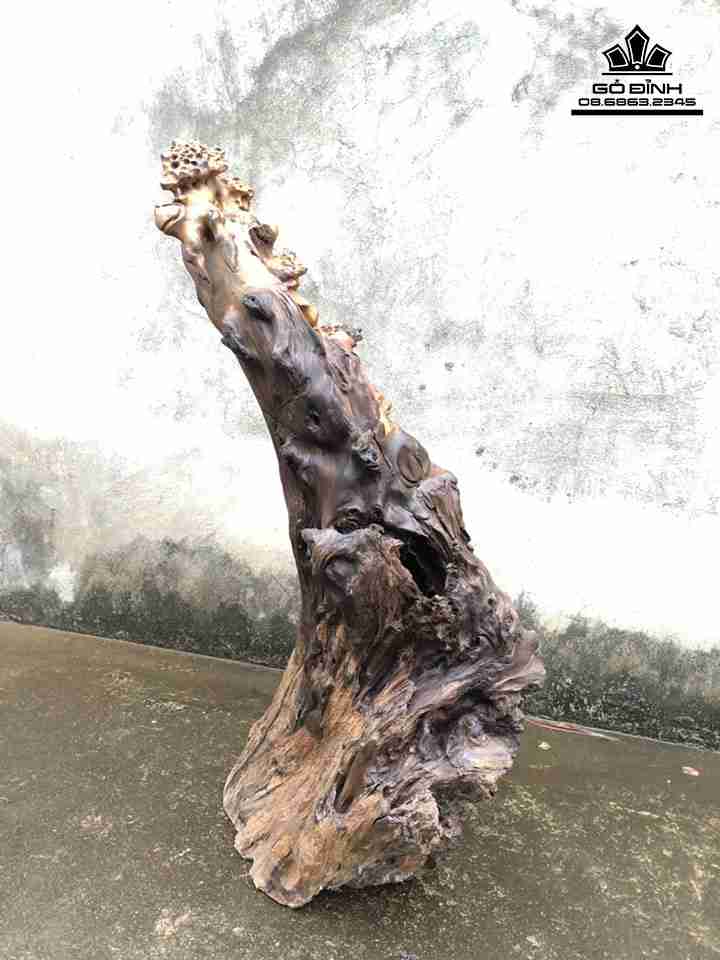 Tuong-Phat-Di-Lac-Dung-Goc-Tung-Go-Bach-Xanh